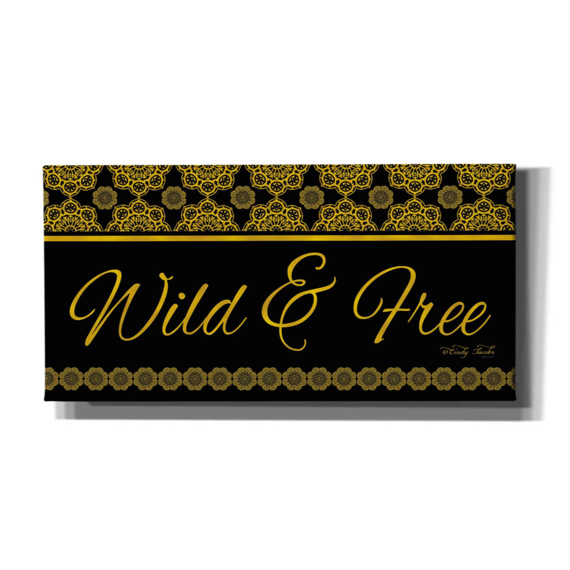 'Wild and Free Mandals' by Cindy Jacobs, Canvas Wall Art