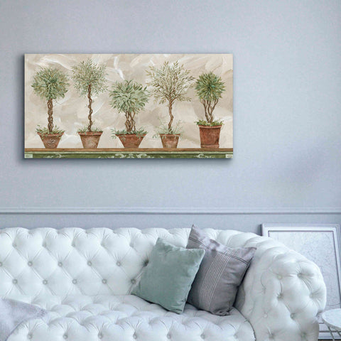 Image of 'Topiaries in a Row' by Cindy Jacobs, Canvas Wall Art,60 x 30