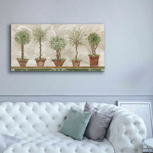 'Topiaries in a Row' by Cindy Jacobs, Canvas Wall Art,60 x 30