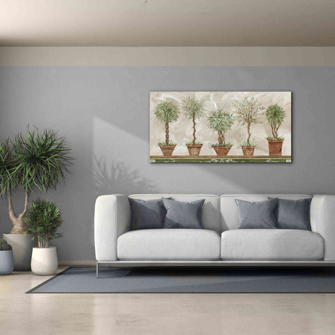 Image of 'Topiaries in a Row' by Cindy Jacobs, Canvas Wall Art,60 x 30