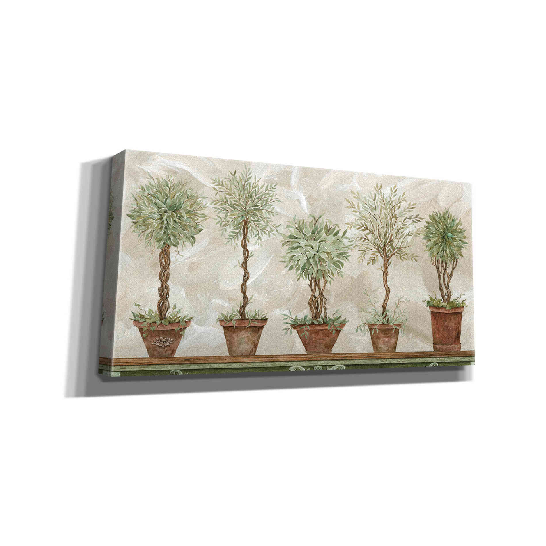 'Topiaries in a Row' by Cindy Jacobs, Canvas Wall Art