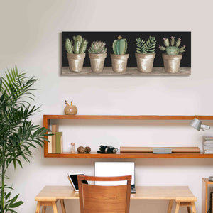 'Cactus Row' by Cindy Jacobs, Canvas Wall Art,36 x 12