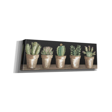 Image of 'Cactus Row' by Cindy Jacobs, Canvas Wall Art