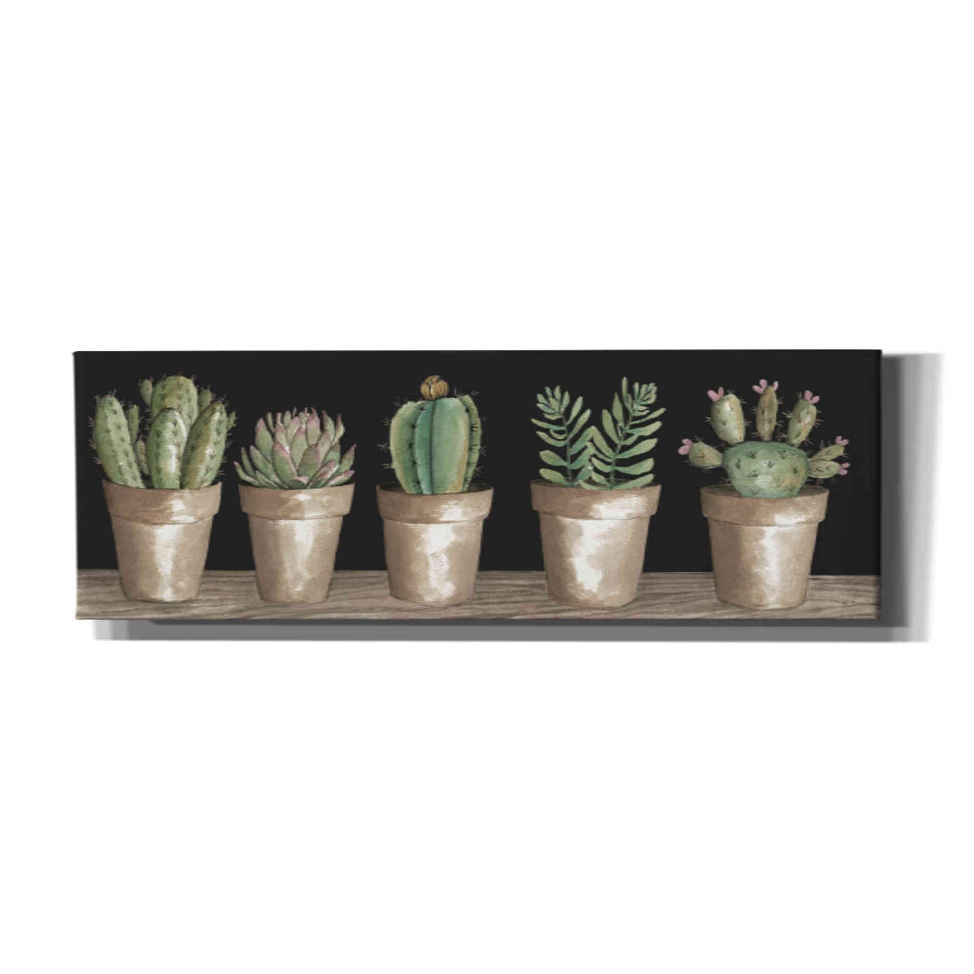 'Cactus Row' by Cindy Jacobs, Canvas Wall Art