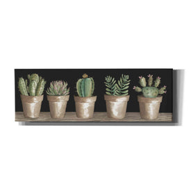 'Cactus Row' by Cindy Jacobs, Canvas Wall Art
