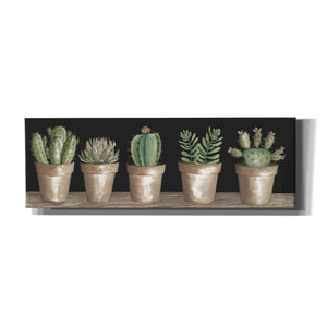 'Cactus Row' by Cindy Jacobs, Canvas Wall Art