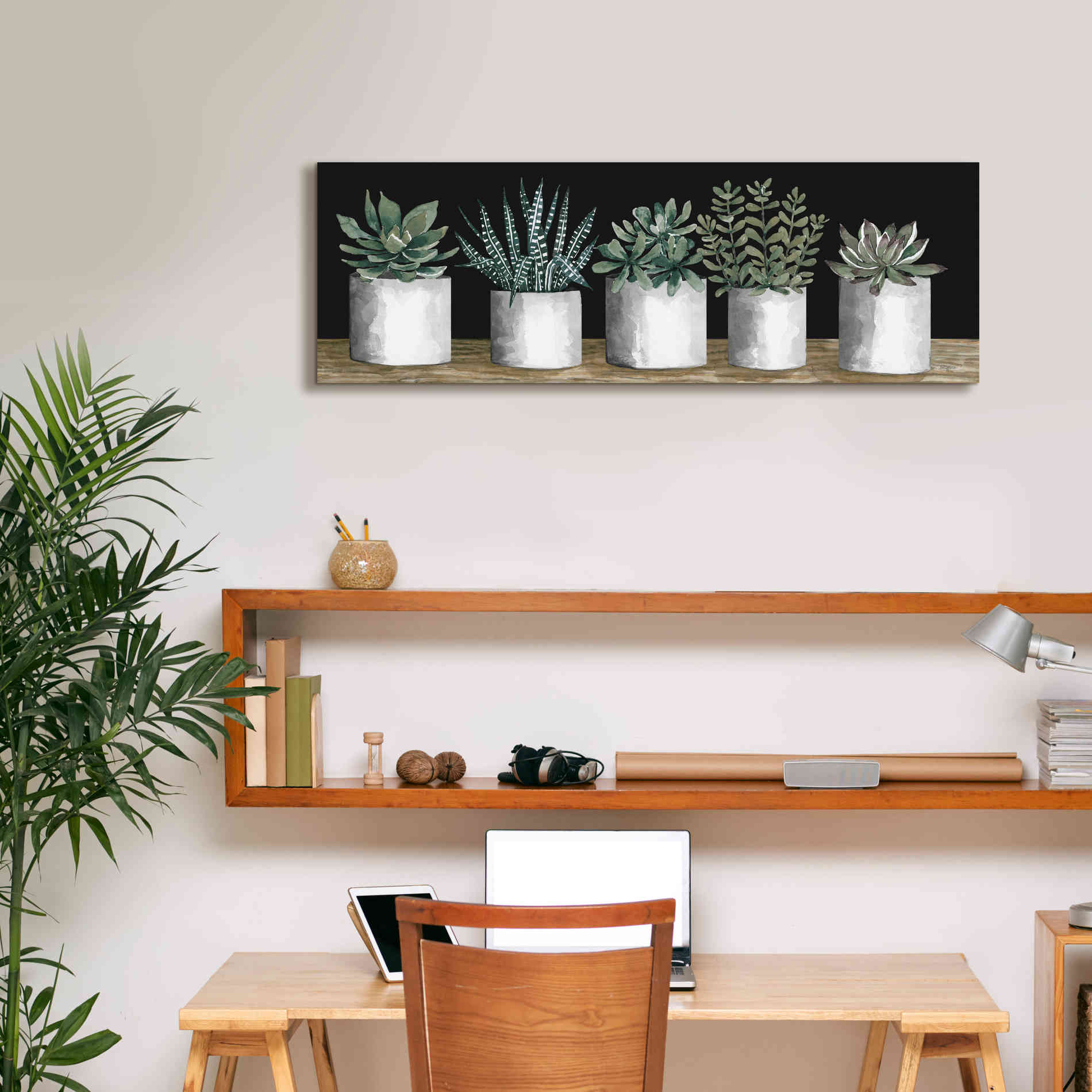 'Succulent Row' by Cindy Jacobs, Canvas Wall Art,36 x 12