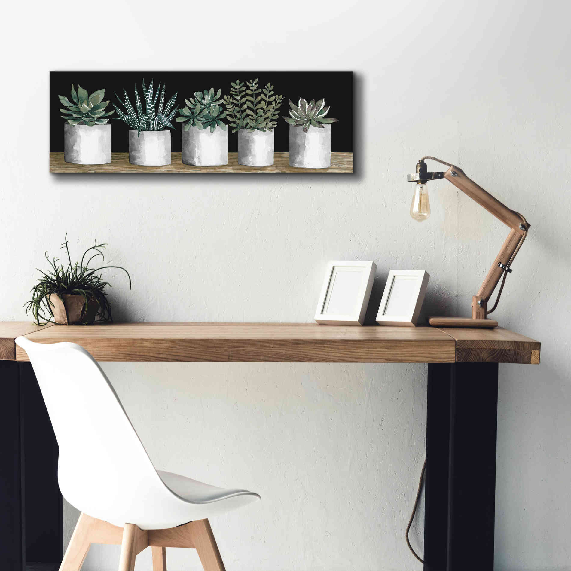 'Succulent Row' by Cindy Jacobs, Canvas Wall Art,36 x 12