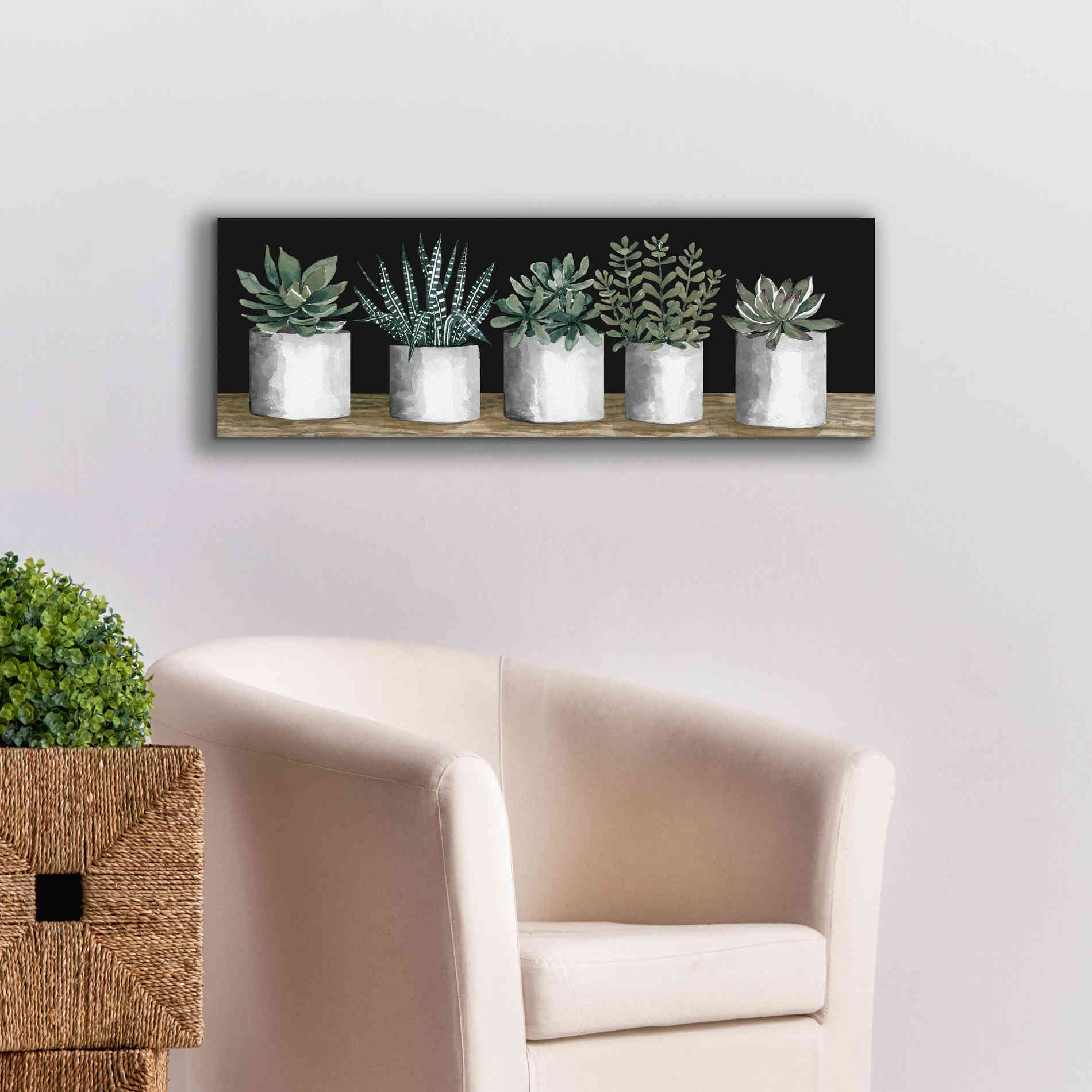 'Succulent Row' by Cindy Jacobs, Canvas Wall Art,36 x 12