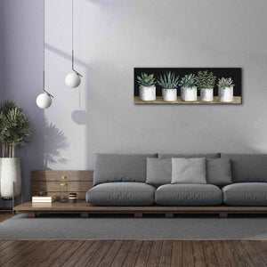 'Succulent Row' by Cindy Jacobs, Canvas Wall Art,60 x 20