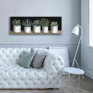 'Succulent Row' by Cindy Jacobs, Canvas Wall Art,60 x 20