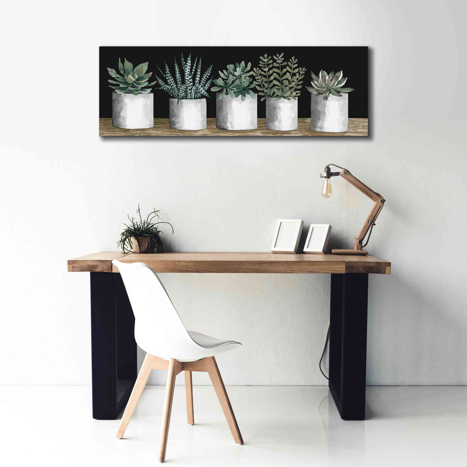 'Succulent Row' by Cindy Jacobs, Canvas Wall Art,60 x 20