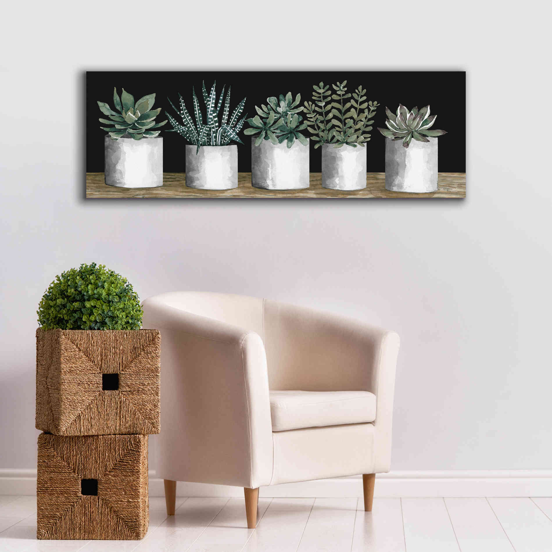 'Succulent Row' by Cindy Jacobs, Canvas Wall Art,60 x 20