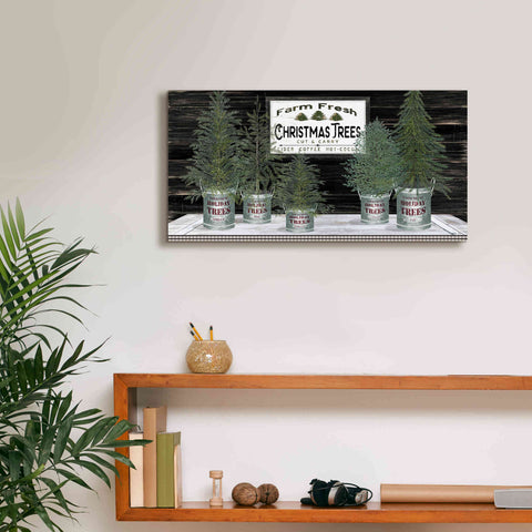 Image of 'Galvanized Pots Christmas Trees II' by Cindy Jacobs, Canvas Wall Art,24 x 12