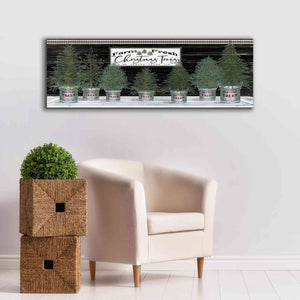 'Galvanized Pots Christmas Trees I' by Cindy Jacobs, Canvas Wall Art,60 x 20