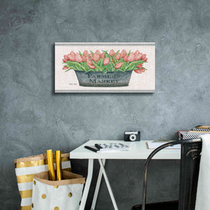 'Farmer's Market Blush Tulips' by Cindy Jacobs, Canvas Wall Art,24 x 12