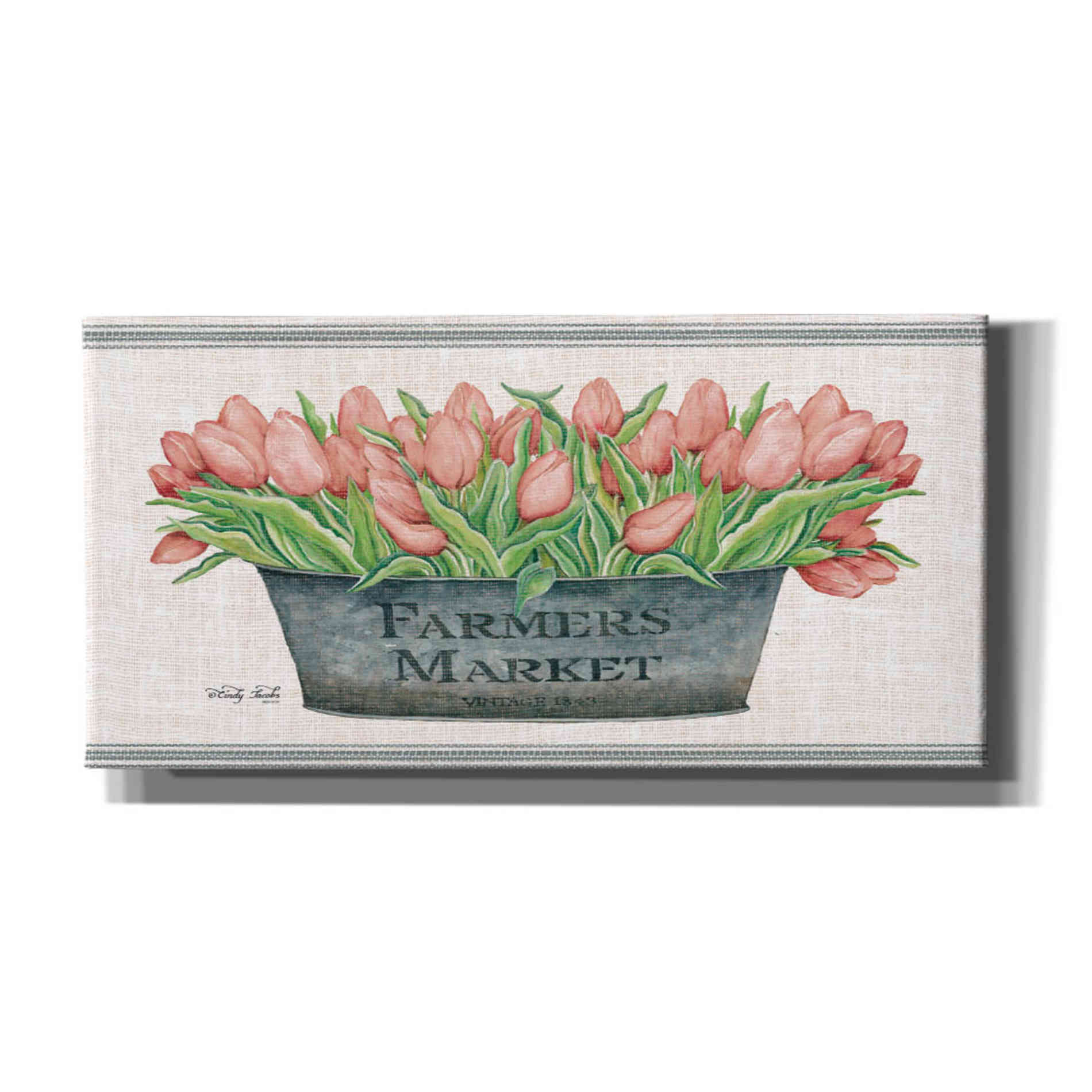 'Farmer's Market Blush Tulips' by Cindy Jacobs, Canvas Wall Art