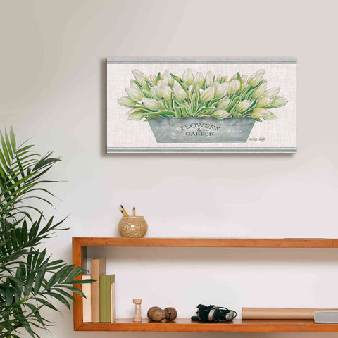 Image of 'Flowers & Garden White Tulips' by Cindy Jacobs, Canvas Wall Art,24 x 12