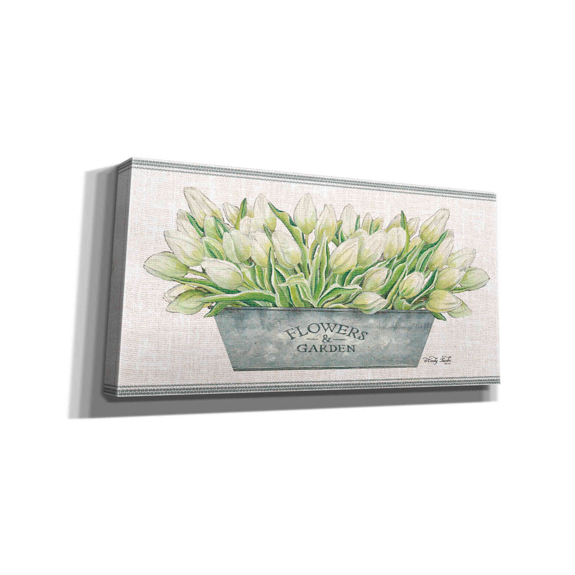 'Flowers & Garden White Tulips' by Cindy Jacobs, Canvas Wall Art