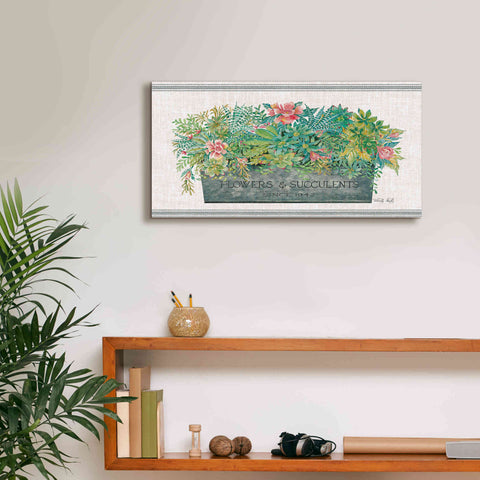 Image of 'Flowers & Succulents' by Cindy Jacobs, Canvas Wall Art,24 x 12