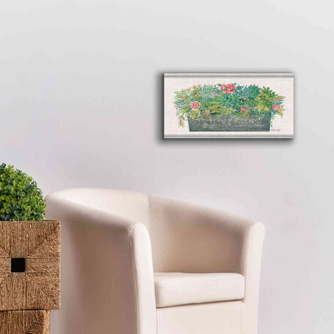Image of 'Flowers & Succulents' by Cindy Jacobs, Canvas Wall Art,24 x 12