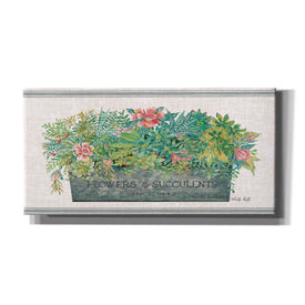 'Flowers & Succulents' by Cindy Jacobs, Canvas Wall Art