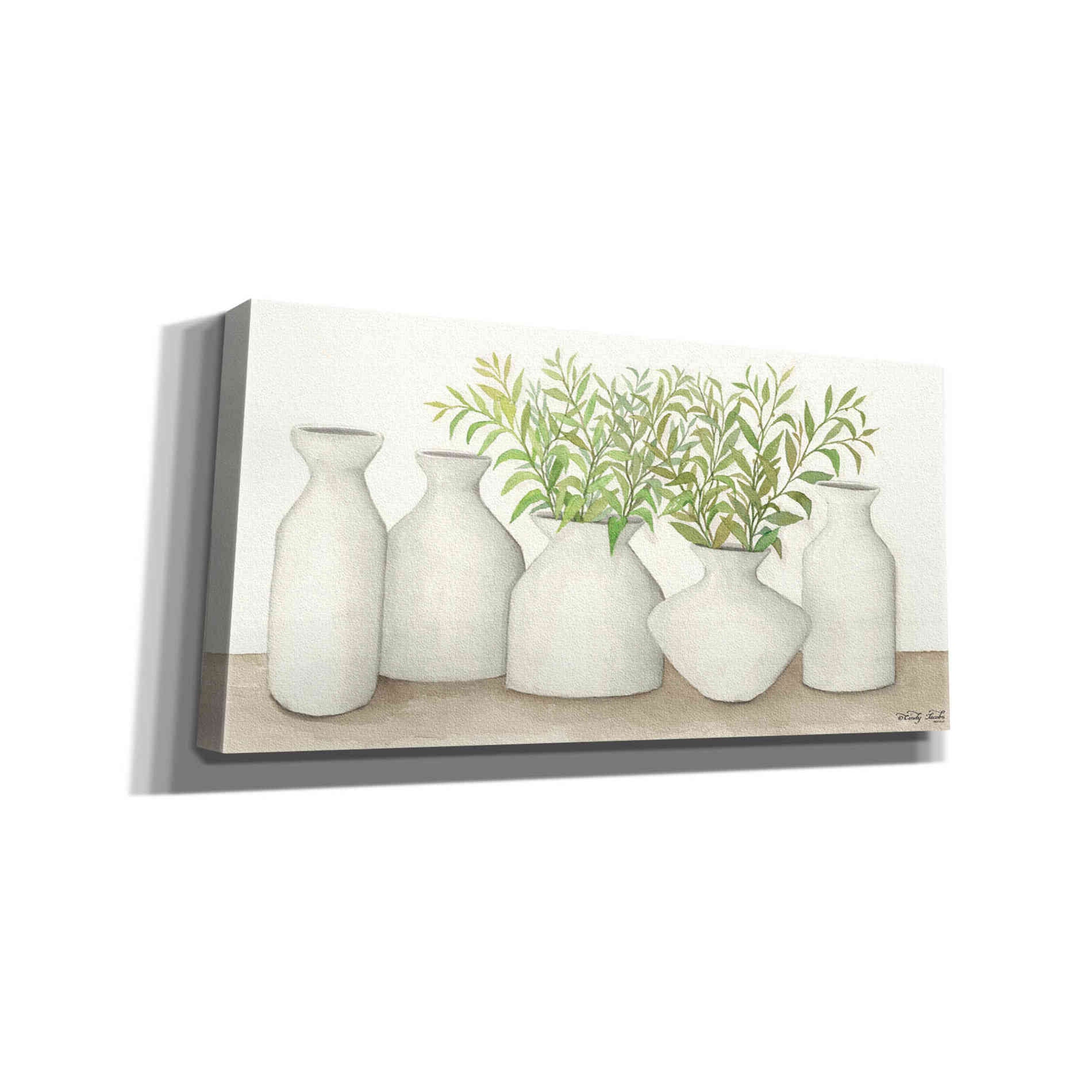 'Simplicity in White II' by Cindy Jacobs, Canvas Wall Art