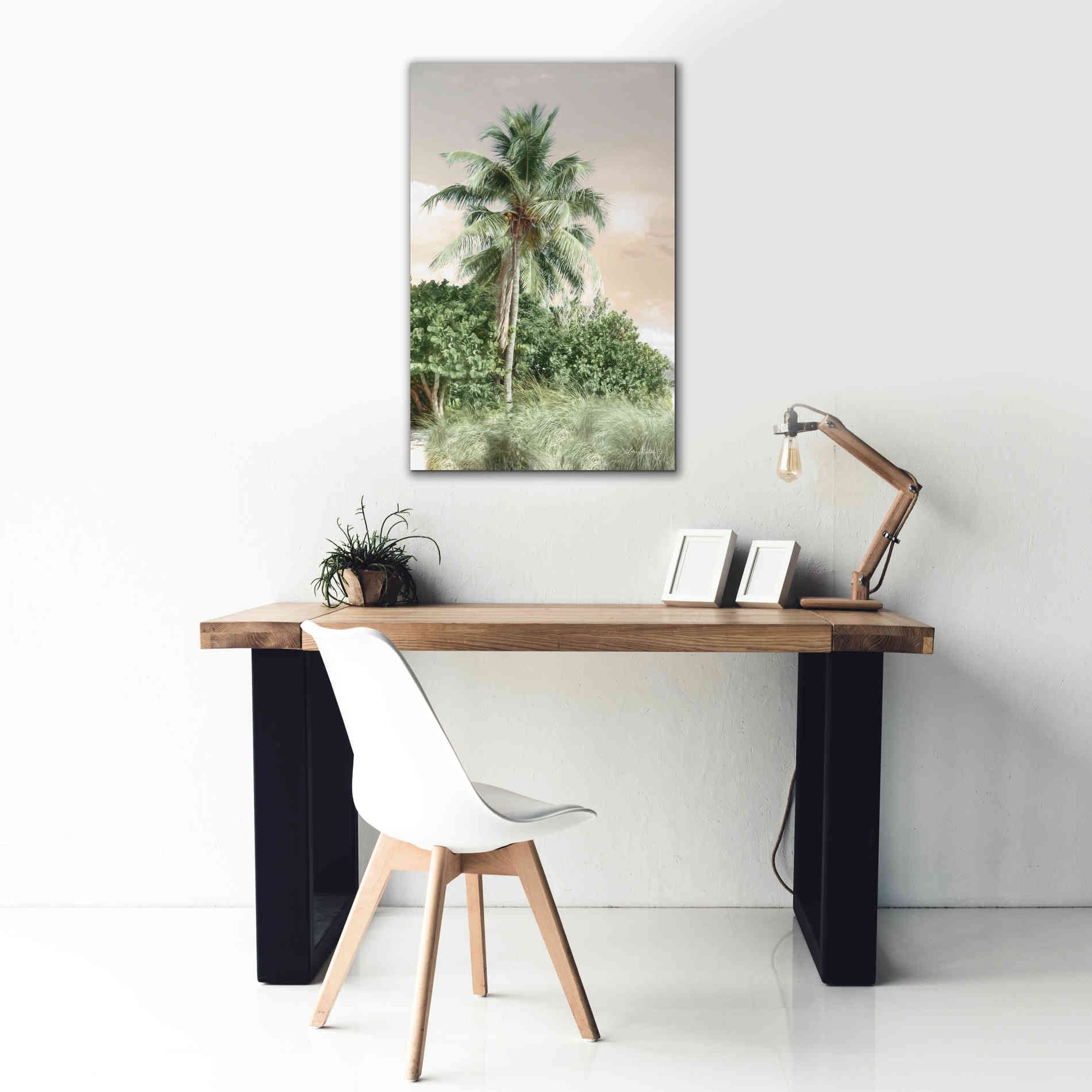 'Sanibel Island Palm' by Lori Deiter, Canvas Wall Art,26 x 40