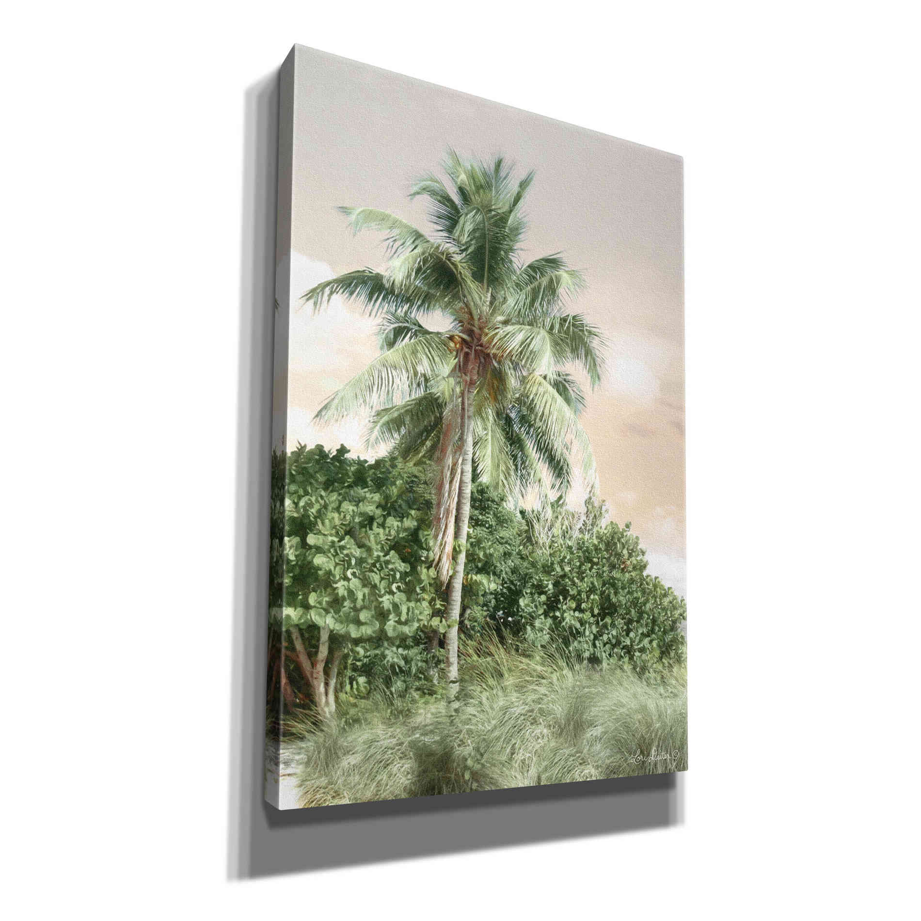 'Sanibel Island Palm' by Lori Deiter, Canvas Wall Art
