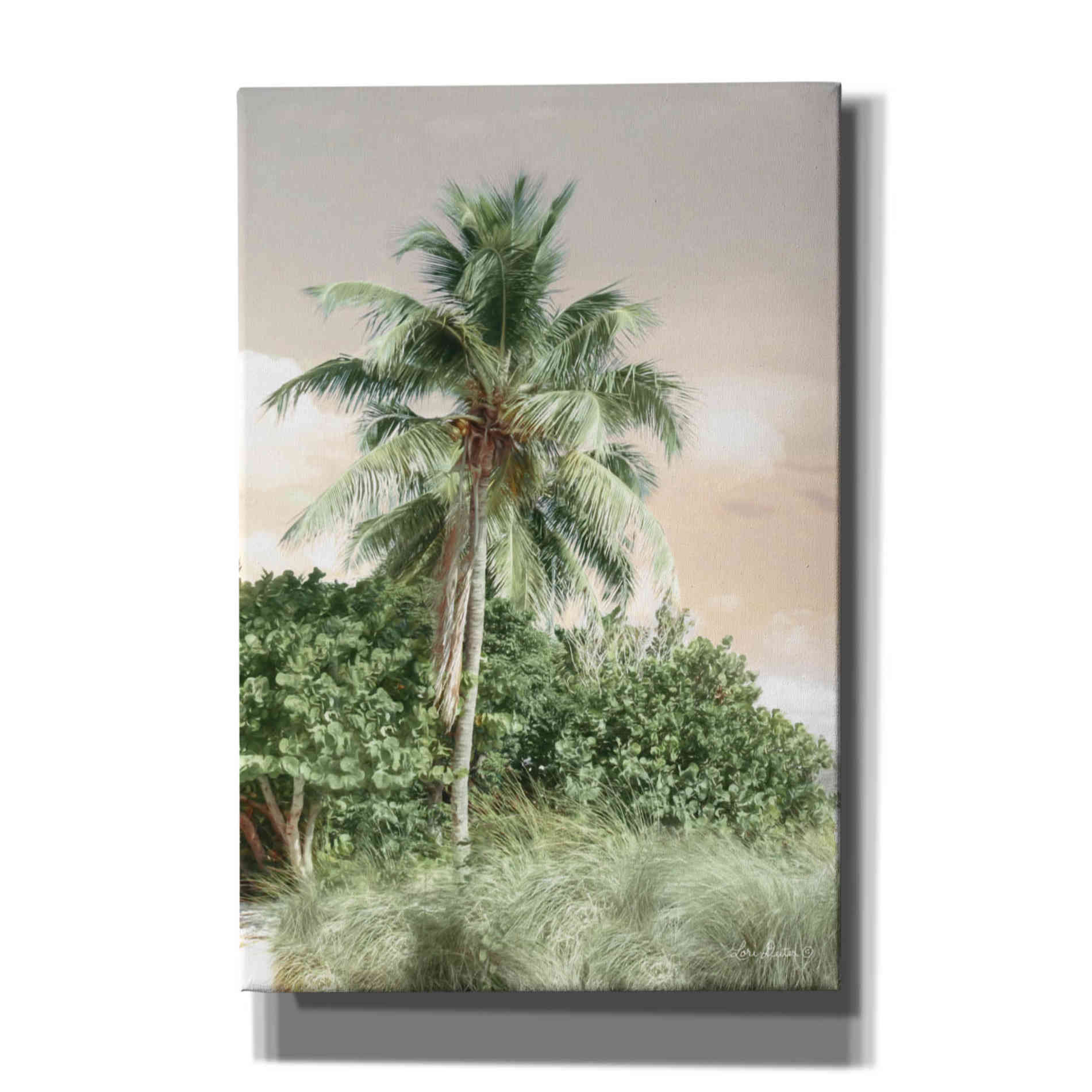 'Sanibel Island Palm' by Lori Deiter, Canvas Wall Art