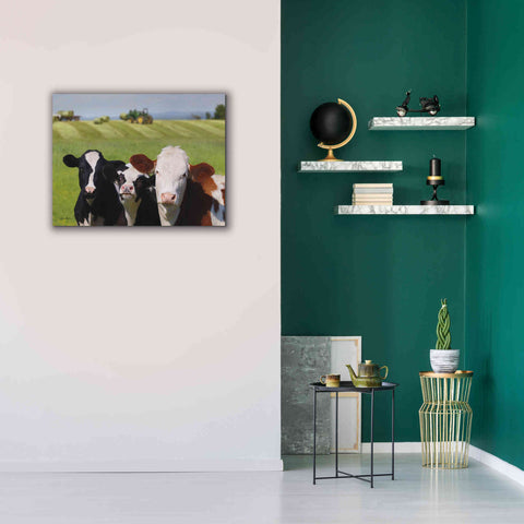 Image of 'Making Hay' by Lori Deiter, Canvas Wall Art,34 x 26