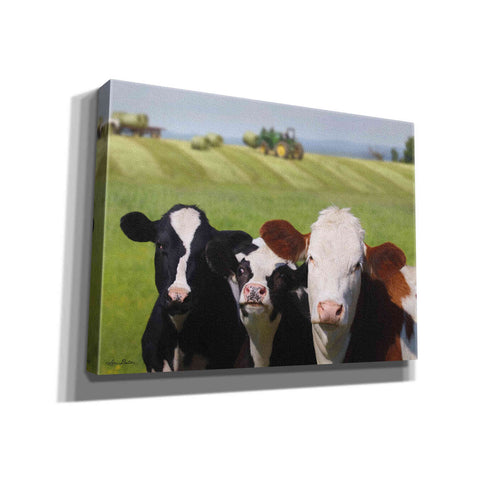 Image of 'Making Hay' by Lori Deiter, Canvas Wall Art