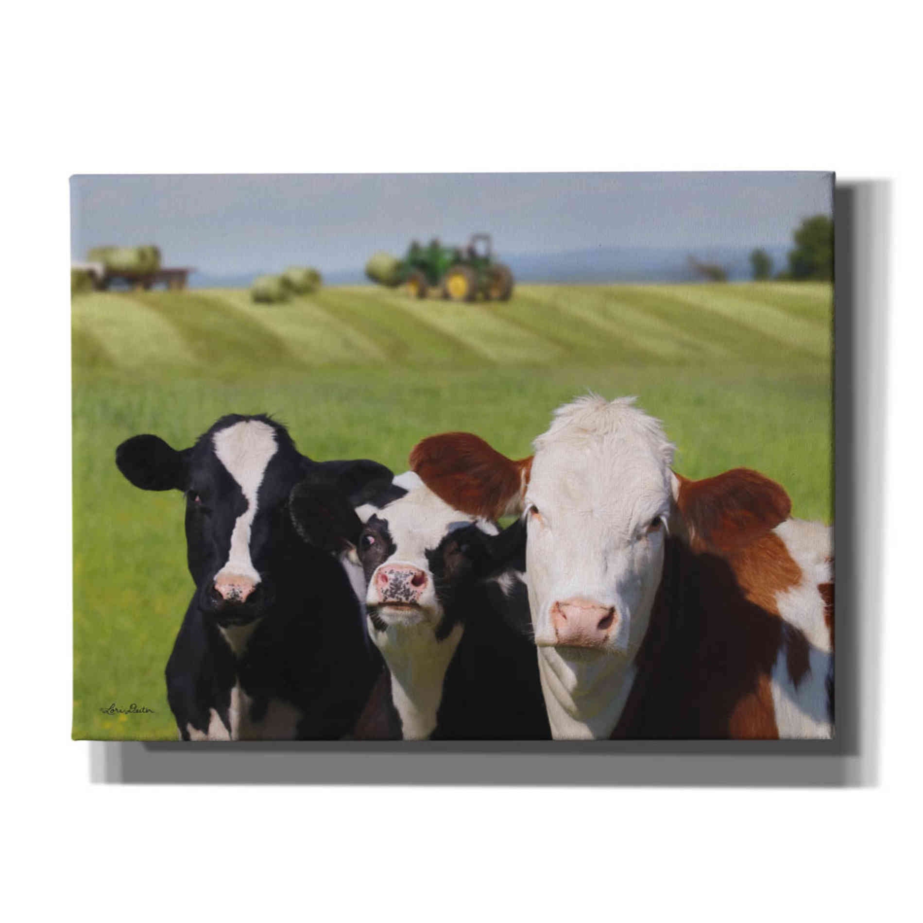 'Making Hay' by Lori Deiter, Canvas Wall Art