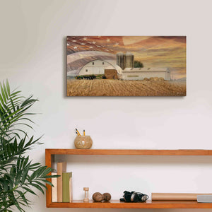'American Farmland' by Lori Deiter, Canvas Wall Art,24 x 12