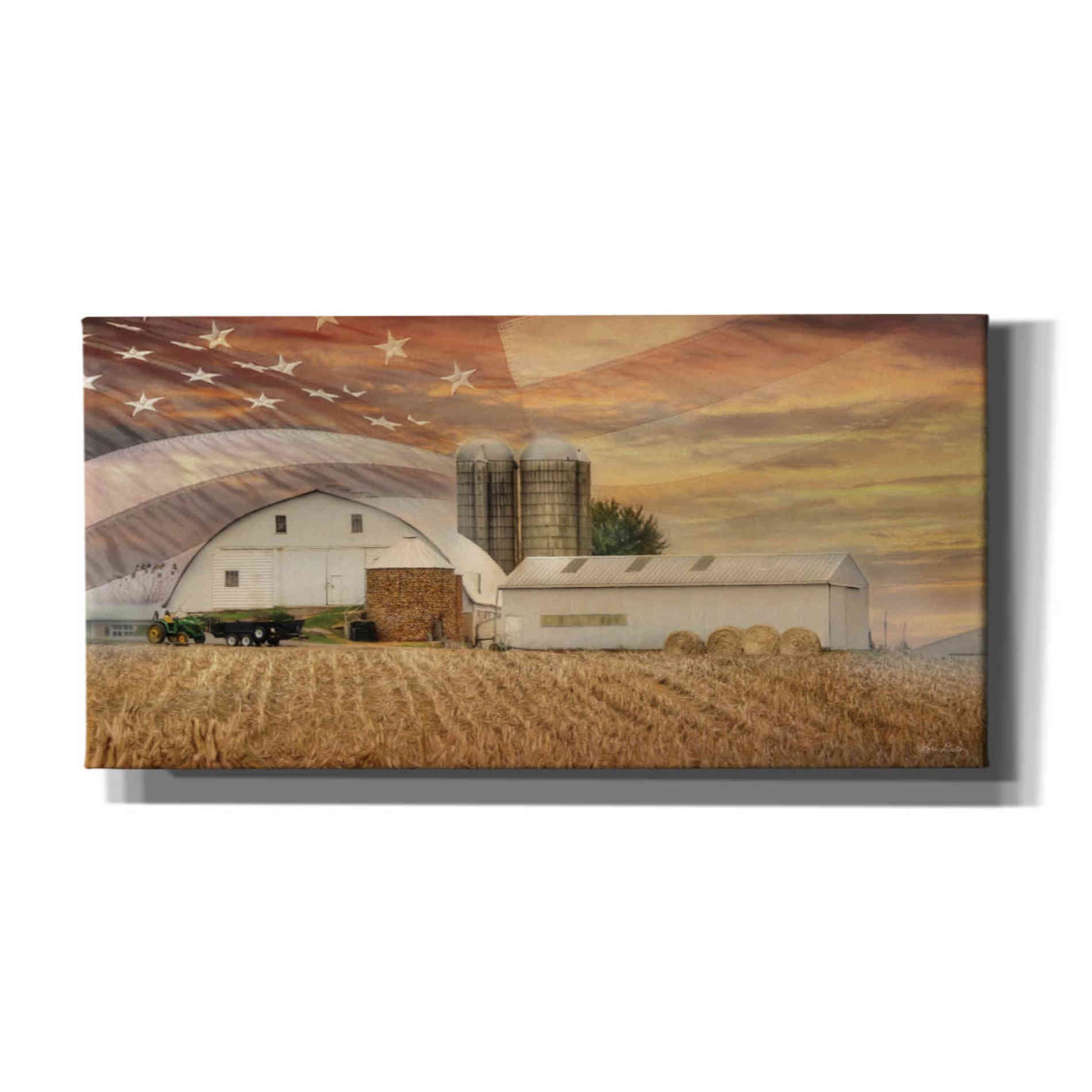 'American Farmland' by Lori Deiter, Canvas Wall Art