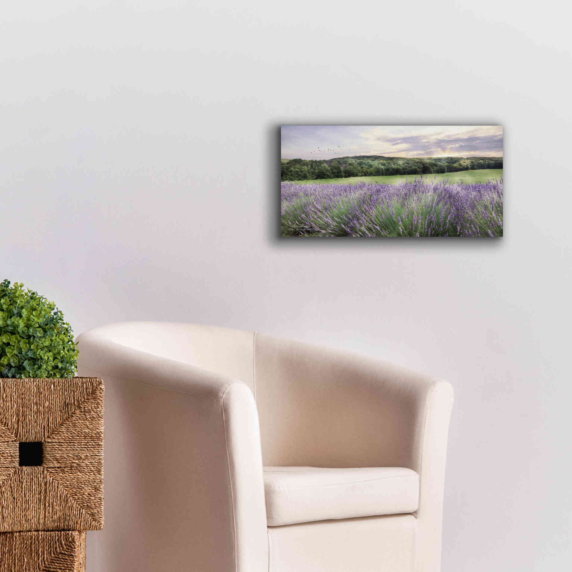 'Lavender Fields' by Lori Deiter, Canvas Wall Art,24 x 12