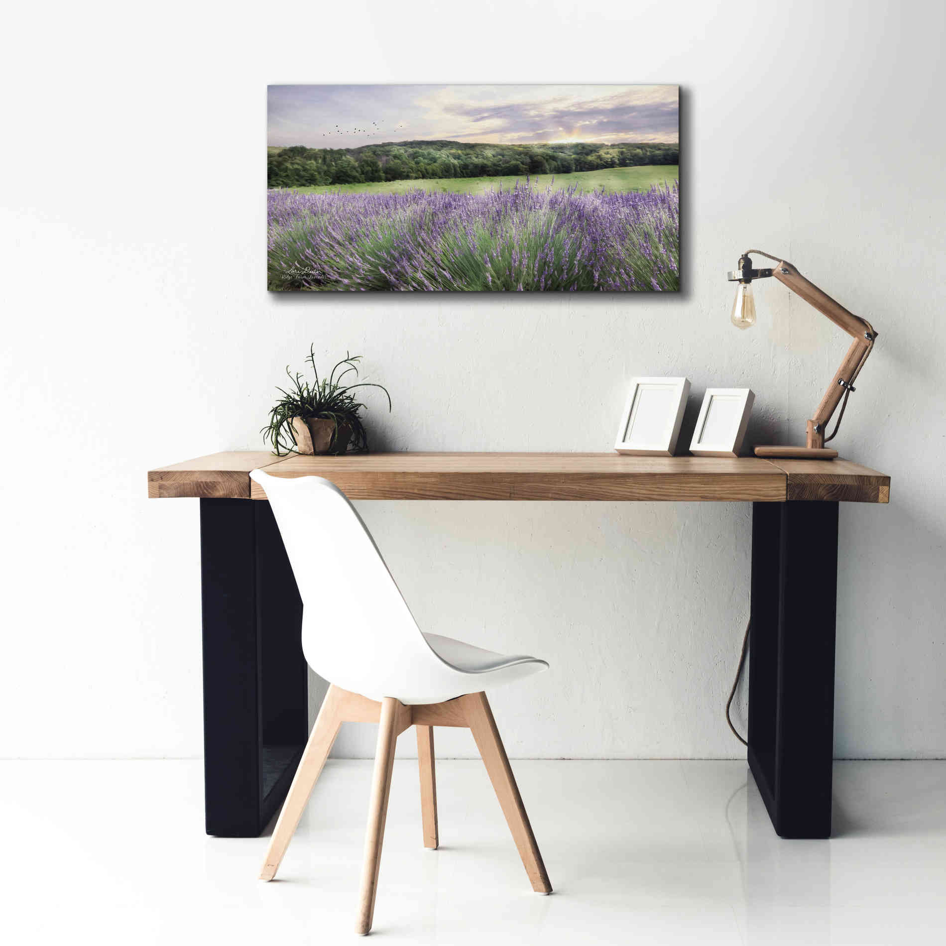 'Lavender Fields' by Lori Deiter, Canvas Wall Art,40 x 20
