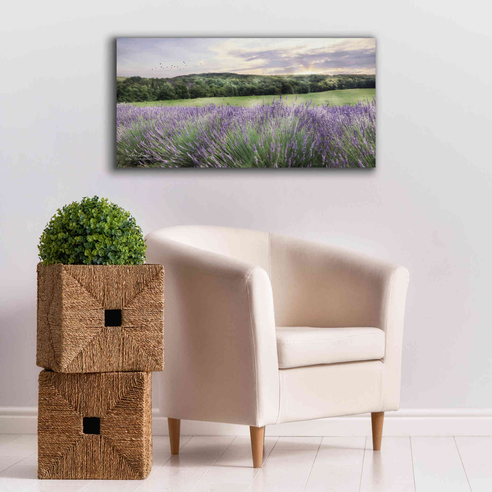 'Lavender Fields' by Lori Deiter, Canvas Wall Art,40 x 20