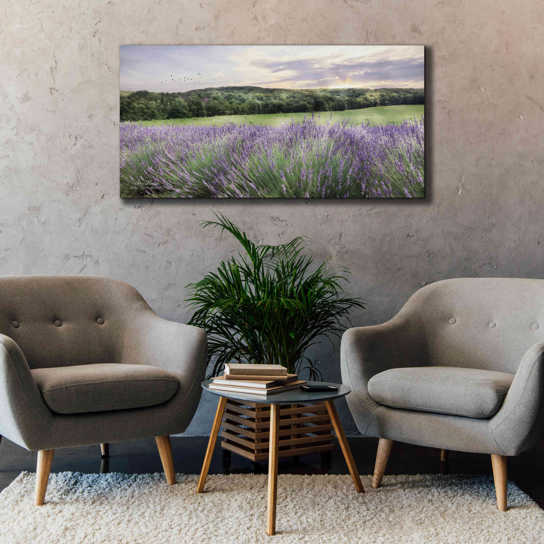 'Lavender Fields' by Lori Deiter, Canvas Wall Art,60 x 30