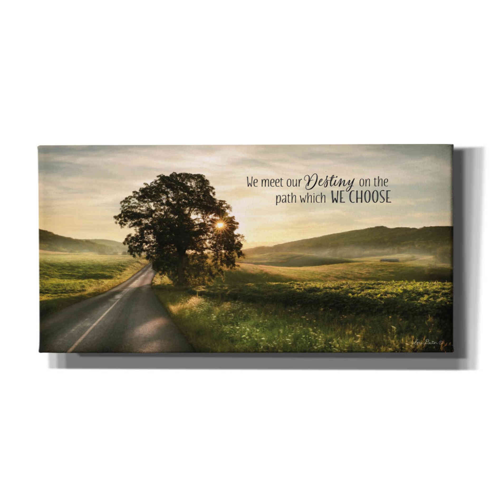 'Destiny' by Lori Deiter, Canvas Wall Art