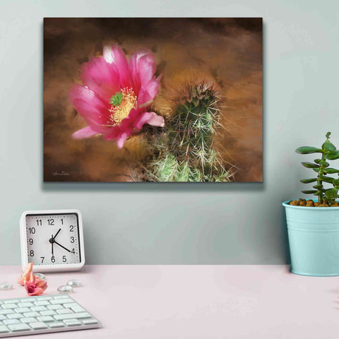 Image of 'Vibrant Cactus Flower' by Lori Deiter, Canvas Wall Art,16 x 12