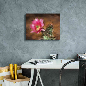 'Vibrant Cactus Flower' by Lori Deiter, Canvas Wall Art,16 x 12