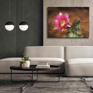 'Vibrant Cactus Flower' by Lori Deiter, Canvas Wall Art,54 x 40