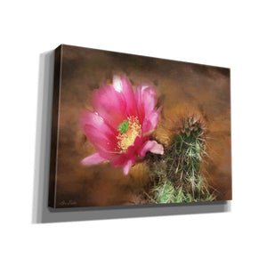 'Vibrant Cactus Flower' by Lori Deiter, Canvas Wall Art