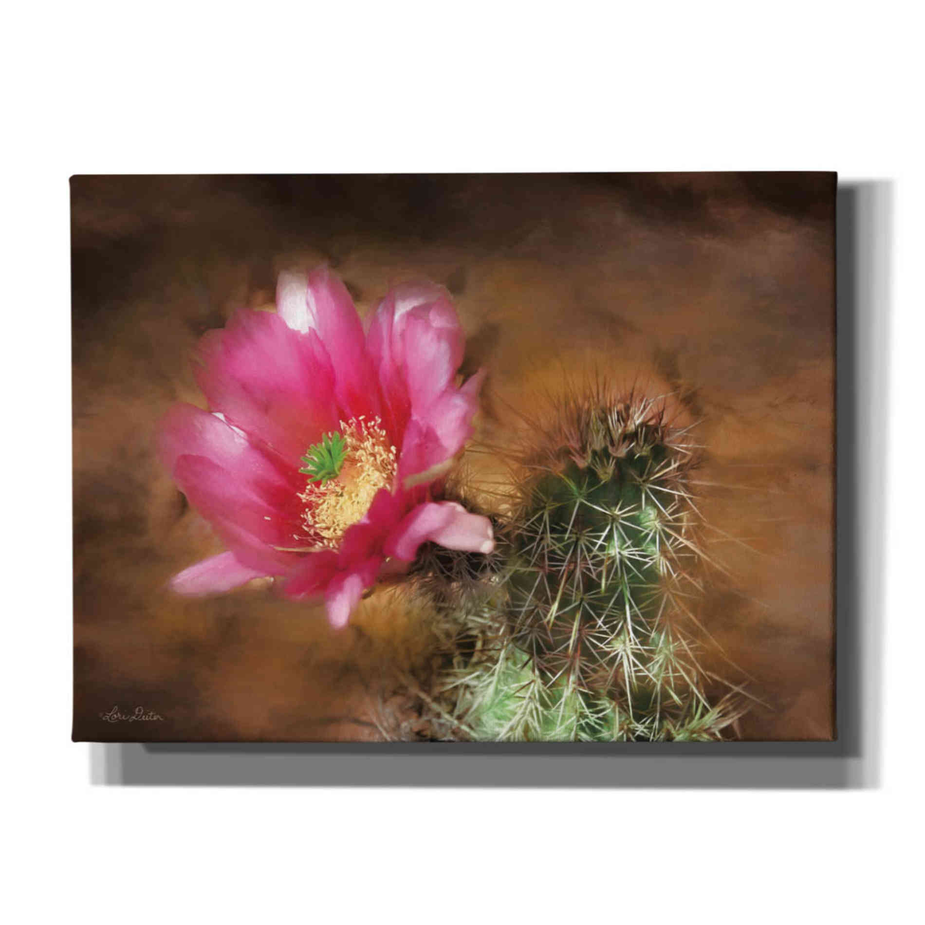 'Vibrant Cactus Flower' by Lori Deiter, Canvas Wall Art