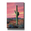 'Vibrant Cactus Sunset' by Lori Deiter, Canvas Wall Art