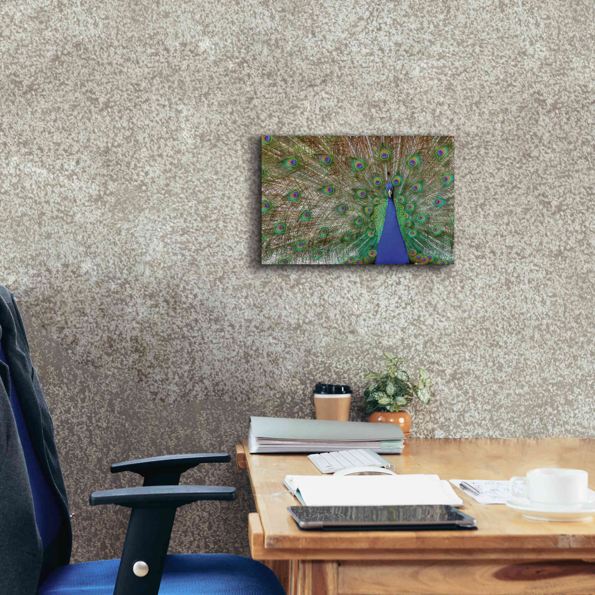 'Peacock' by Lori Deiter, Canvas Wall Art,18 x 12