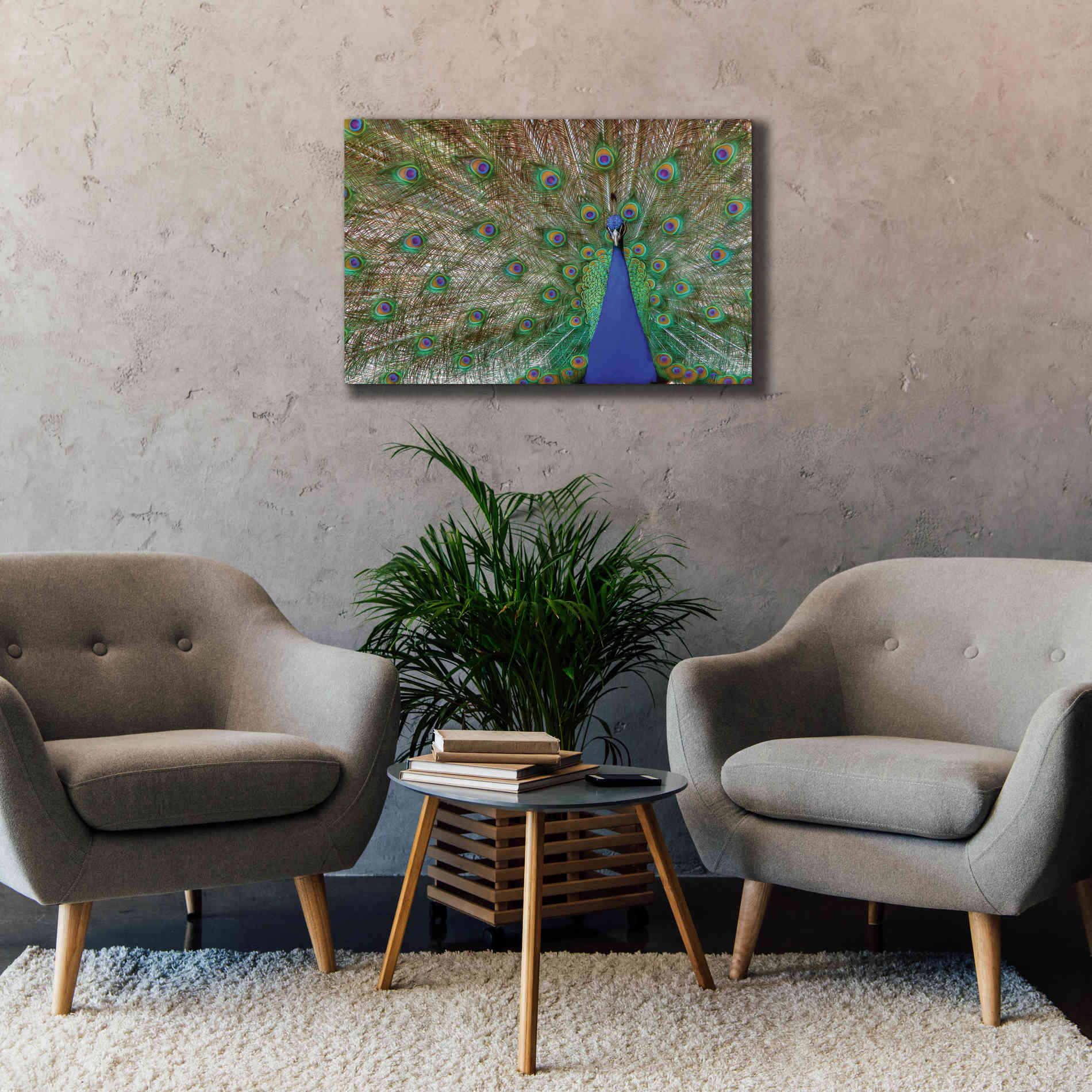 'Peacock' by Lori Deiter, Canvas Wall Art,40 x 26