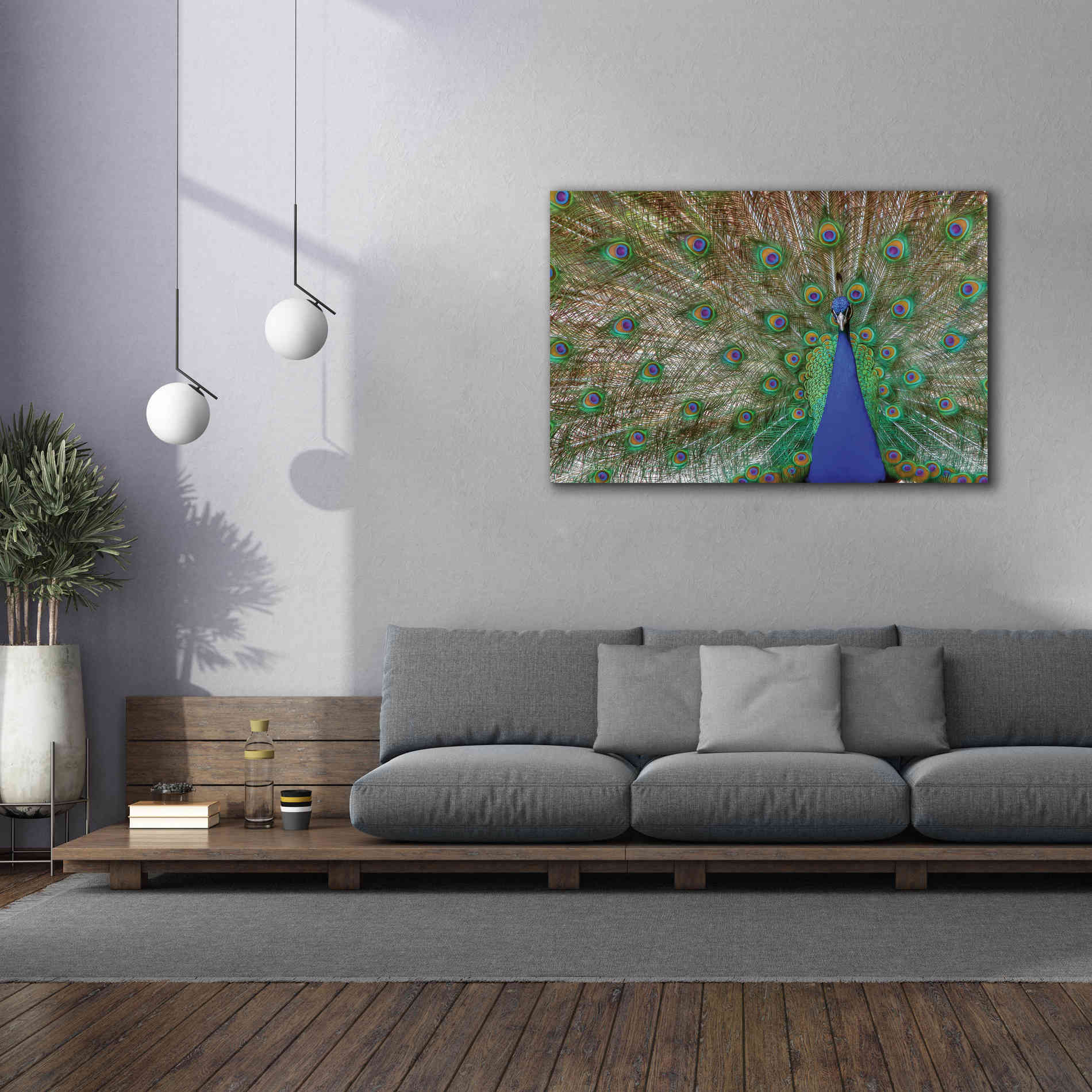 'Peacock' by Lori Deiter, Canvas Wall Art,60 x 40