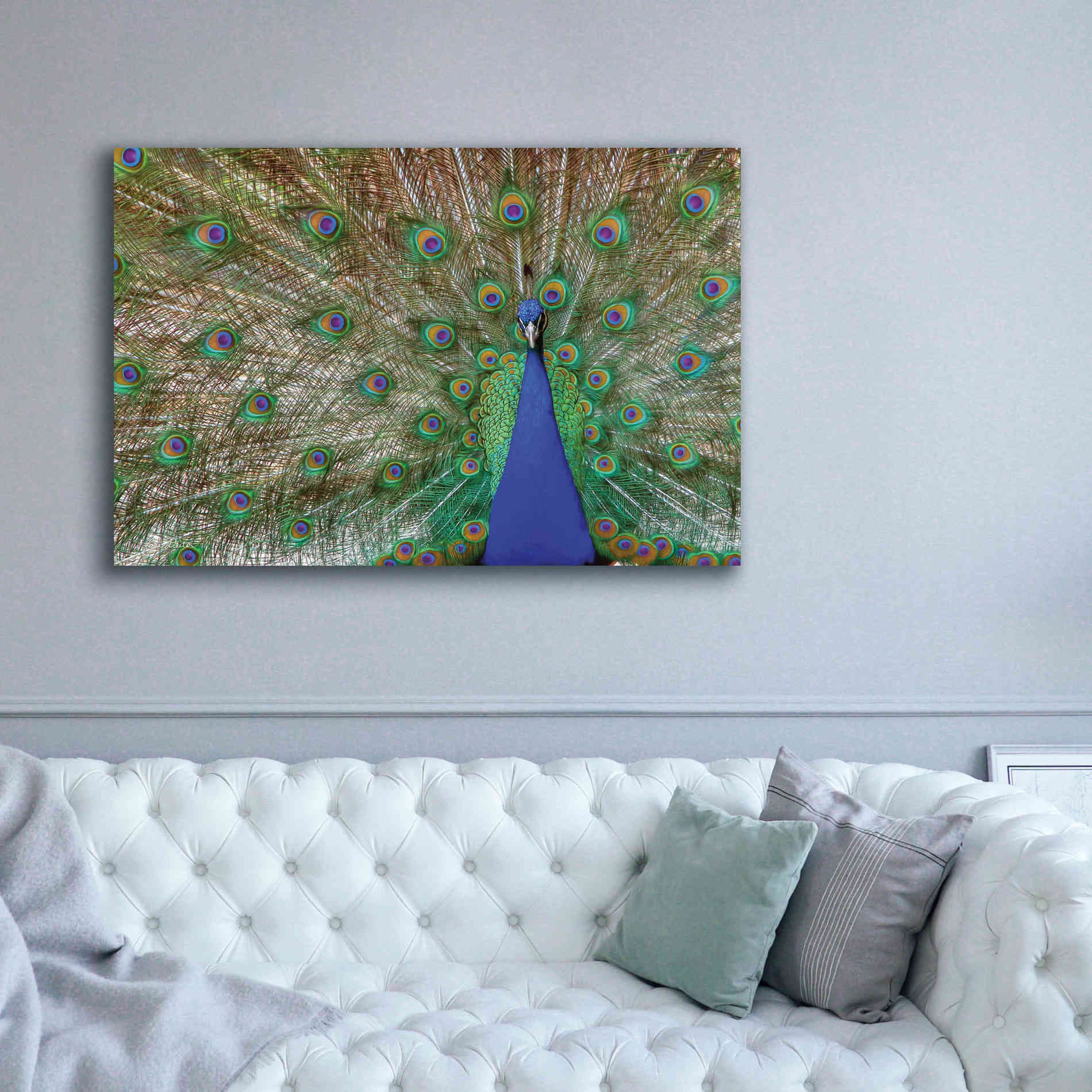 'Peacock' by Lori Deiter, Canvas Wall Art,60 x 40